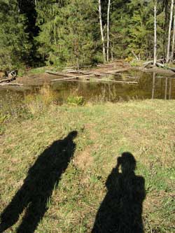 shadows of amy and ron